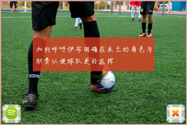 加利呼吁伊布明确在米兰的角色与职责以便球队更好发挥